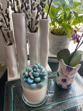 Load image into Gallery viewer, Extra Large Succulent Candles